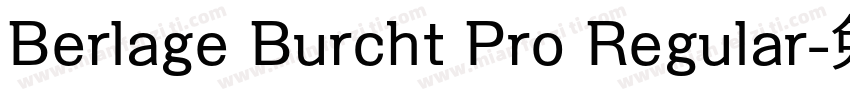 Berlage Burcht Pro Regular字体转换